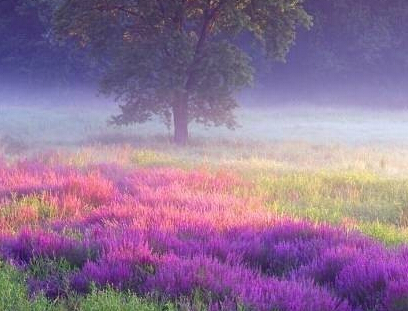 Ա���ؿ����㲻�ı䣬˭Ҳ�Ȳ����㣡